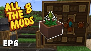 AUTOMATING Mystical Agriculture ESSENCE with CREATE  All The Mods 8 Ep 6  Minecraft 1192 [upl. by Byrdie]