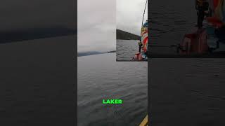 Epic Lake Trout Chase at Lake George [upl. by Schick]