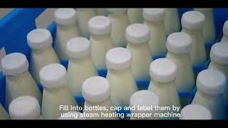 Dairy Milk Production Line including Pasteurizer Homogenizer Cooler And Bottle Filler [upl. by Nauhs]