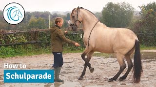 Schulhalt  So erarbeitest du ihn Schritt für Schritt mit deinem Pferd [upl. by Gerri999]