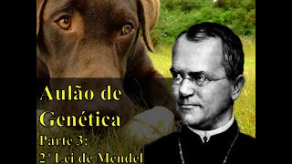 Aulão de Genética  Parte 3 2ª Lei de Mendel [upl. by Emaj]