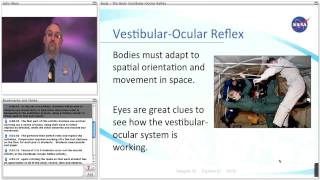 Vestibular Ocular Reflex [upl. by Estel625]