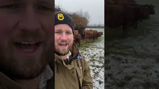 SNOW on Exmoor Farm [upl. by Bodnar]