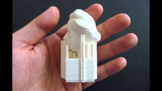 Albert Einstein 3D printing using colorFabb filament by Printrbot Simple [upl. by Navinod12]