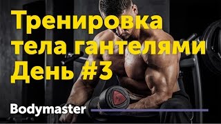 Программа тренировок на все тело с гантелями День 3 [upl. by Kleper]