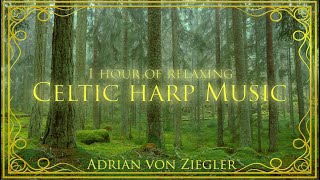 1 Hour of Relaxing Celtic Harp Music by Adrian von Ziegler [upl. by Euqinomahs]