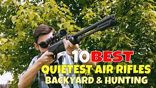 Top 10 Best Quietest Air Rifle for Backyard and Hunting Quietest Air Rifles with Decibel Rating [upl. by Ardiedal]