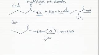 hydrolysis of amides [upl. by Enois]