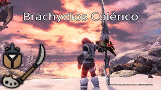 MHWIB  Brachydios Colérico Raging  Solo  Glaive Insecto [upl. by Bat]