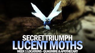 All Lucent Moth Locations Guide  Week 1 Lepidopterist Triumph Destiny 2 [upl. by Aihseuqram]