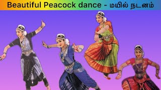 Beautiful peacock dance  மயில் நடனம்  பேரானந்தம் அனந்தியா  குரு சுஐதா சதீஷ் அரங்கேற்றம்2024 [upl. by Jeremie]