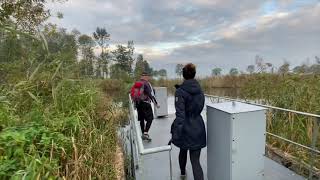 Wandel TV  Oostwaardpad nabij de Biesbosch  23 KM [upl. by Eojyllib]