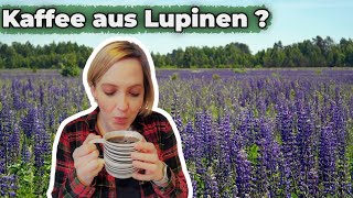 Lupinenkaffee im Test Eine nachhaltige Alternative zu Kaffee [upl. by Thorrlow]