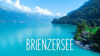 Brienzersee Switzerland 4K Drone Video [upl. by Gnauq321]