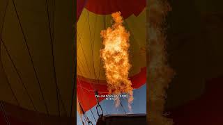 Join Me On A Hot Air Balloon Ride Over the Gold Coast Hinterland Shorts GoldCoast ThingsToDo [upl. by Cristal]