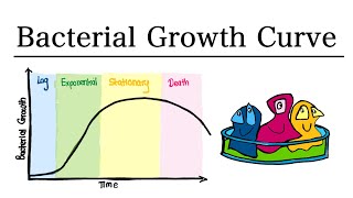 The Bacterial Growth Curve  MCAT Biology [upl. by Fatsug]