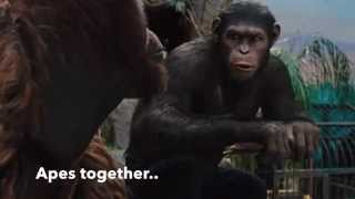 Rise of the Planet of Apes Apes Together Strong [upl. by Phillane]