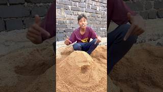 CHOTU KA SAND HOUSE shorts FACTFIREKING [upl. by Aneelahs651]