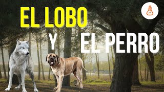 La fábula del lobo y el perro para emprendedores [upl. by Ahsrav114]