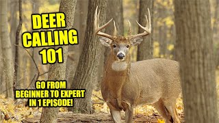 DEER CALLING 101  BUCK CALLS FOR HUNTING  DEER SOUNDS TO ATTRACT DEER [upl. by Garrick]