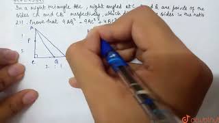 In a righttriangle ABC  right angled at C P and Q are the points of the sides CA and CBrespect [upl. by Magulac982]