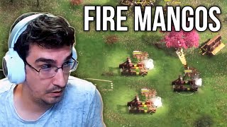 Beasty Destroying With Ayyubids amp FIRE MANGOS in AOE4 [upl. by Hsihsa]