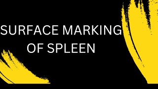 Surface marking of spleen [upl. by Nelaf]