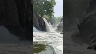 Hogenakkal falls  ஒகேனக்கல் அருவி falls [upl. by Etiam]