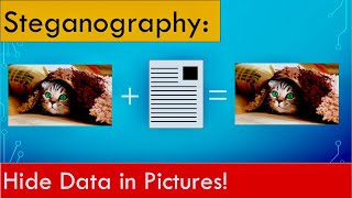 Steganography Find hidden data in pictures and other files [upl. by Perkins]