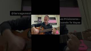 Los Prisioneros  Cuando Te Vayas cover guitarra losprisioneros jorgegonzalez [upl. by Ilona]