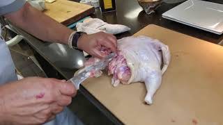 How to  Deboning A Whole Chicken Without Cutting The Skin [upl. by Cassiani]