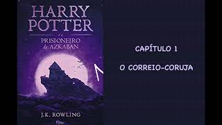 HARRY POTTER E O PRISIONEIRO DE AZKABAN  CAPÃTULO 1 O CORREIOCORUJA  JK ROWLING [upl. by Lirpa]