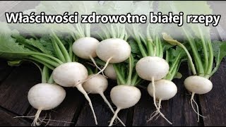 Biała rzepa  Właściwości zdrowotne białej rzepy [upl. by Aenitsirhc]