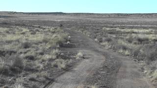 Driving on old Route 66 from Navajo Arizona towards painted desert trading post [upl. by Nosnej]