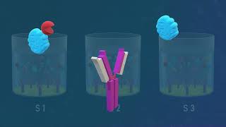 Competitive ELISA Test  Animated Video [upl. by Eimma]