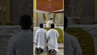 Benediction of the blessed Sacrament music catholicnews choir bigard catholicmass seminary [upl. by Nelle]