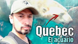 Asi es el ACUARIO DE QUEBEC  Vale la pena [upl. by Ul]