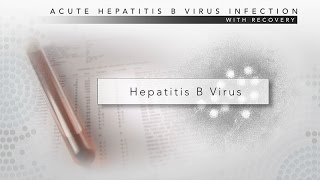 Hepatitis B CDC Viral Hepatitis Serology Training [upl. by Abehs503]