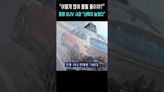 중형 하이브리드 SUV 점유율 30 돌파quot이렇게 인기 좋다고quot [upl. by Phi]