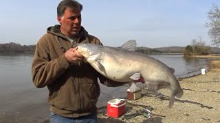 Basic Guide To Catching Big Catfish [upl. by Derreg]