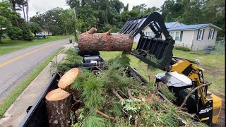 4 Pines and 1 Camphor Tree Removal [upl. by Selry895]