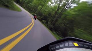 Fighting Creek Gap Rd on Ducati Hypermotard 939 SP and Monster 1200S [upl. by Maidy]