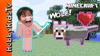 Minecraft HobbyPig Gets A Wolf Friend [upl. by Anivram]