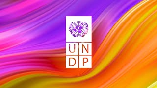 UNDPs 2019 Annual Report [upl. by Auqinihs]