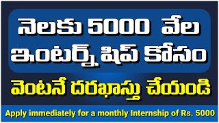 నెలకు 5వేల ఇంటర్న్ షిప్ Apply for Rs 5 th Internship pminternship internship2024 internship [upl. by Kline478]