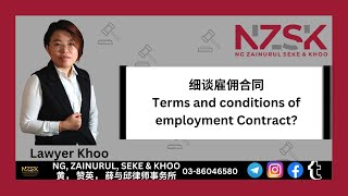 细谈雇佣合同 Terms and conditions of employment Contract [upl. by Salomo]