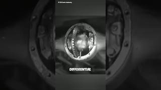 Differential System ⚙️ [upl. by Gibbie]