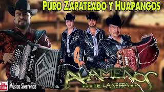 Los Alameños De La Sierra Mix  Puro Zapateado Y Huapangos  Cumbias Mix [upl. by Nojel]