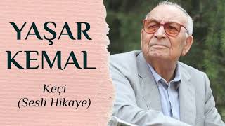 Yaşar Kemal  Keçi [upl. by Rambert]