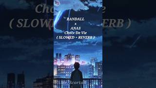 RANDALL x ANAS Choix De Vie  SLOWED  REVERB  lofi song [upl. by Assylem151]